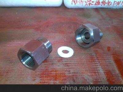 不锈钢内螺纹高压对焊式终端接头带四氟垫片 产品图览与应用解析